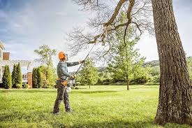 How Our Tree Care Process Works  in Bonneau Beach, SC